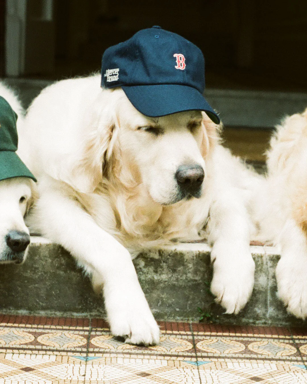 The Mercer Cashmere Boston Red Sox cap | Royal Blue - Image 4